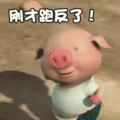 2019年澳门美食节大放送!100人民币吃遍全世界!吃播走起