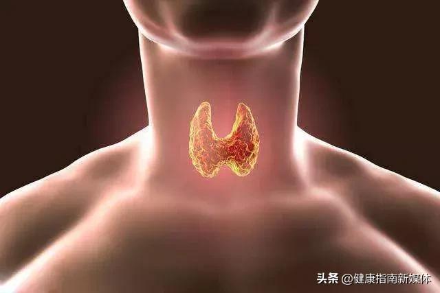 甲减化验前可吃优甲乐吗,化验报告单怎么看是甲减