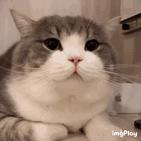 淘宝月销上千到上万,淘宝月销上万的商品