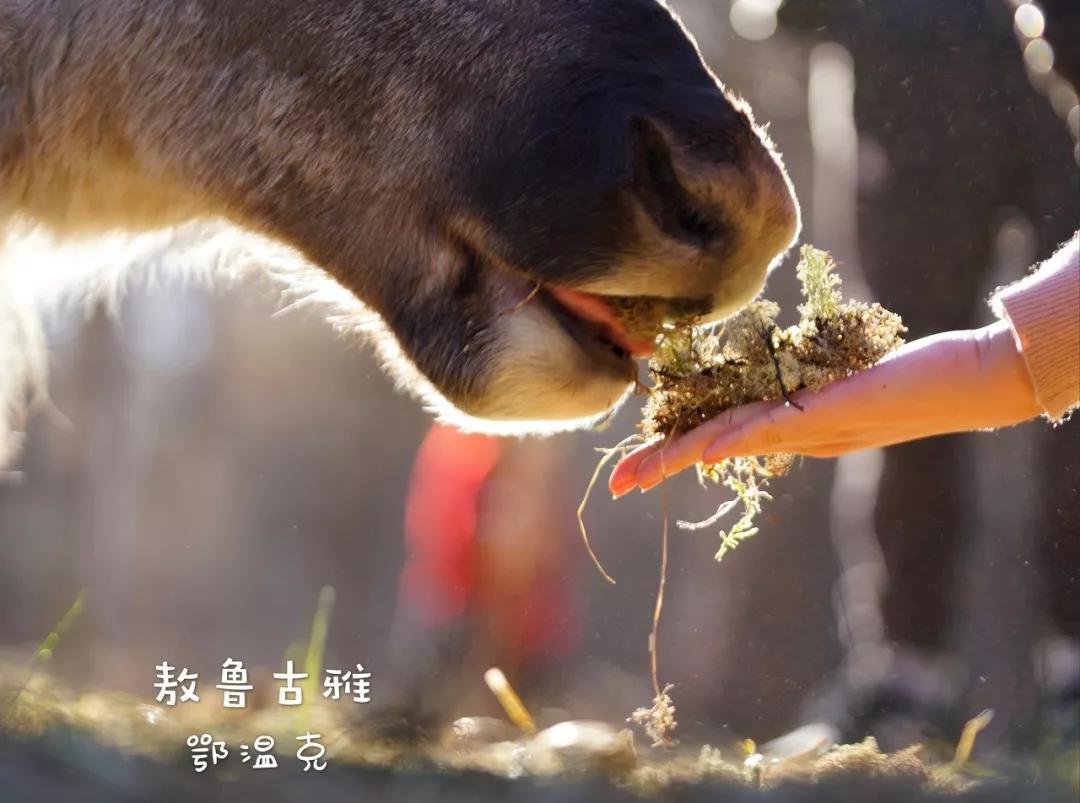 10个适合一个人去的小众旅行地,人少景美的小众旅行地夏季