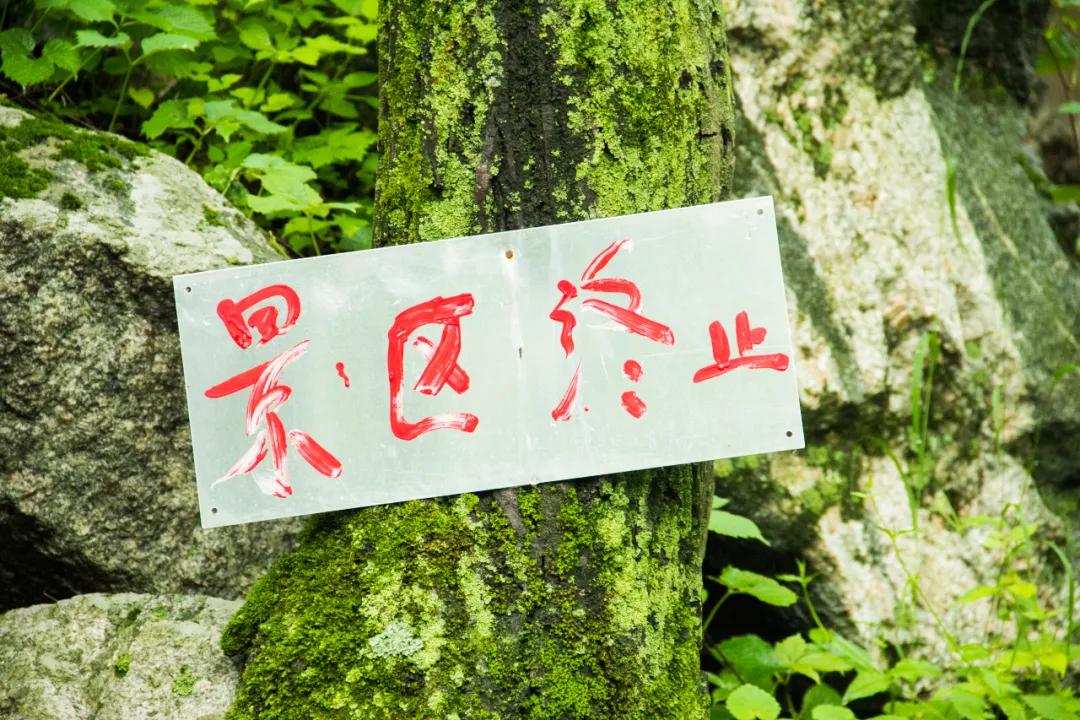 秦岭沣峪口上山有哪些景点,秦岭大坝沟瀑布