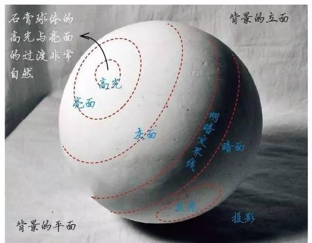 素描不会画实物怎么办,素描静物不会深入刻画
