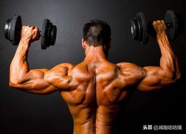 新手哑铃健身一周训练计划,健身房新手健身计划