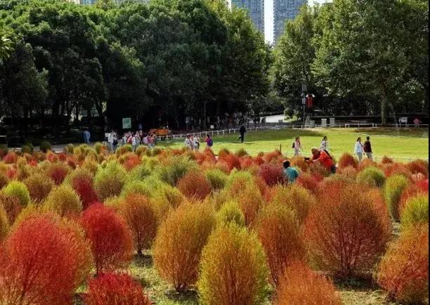 世纪公园拍照馆,世纪公园拍照出片的地方