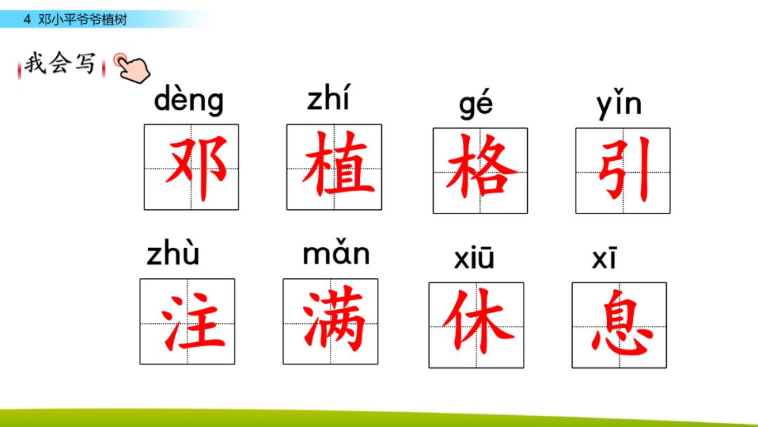 部编版二年级下册语文第4课《*小平邓**爷爷植树》知识点+图文讲解