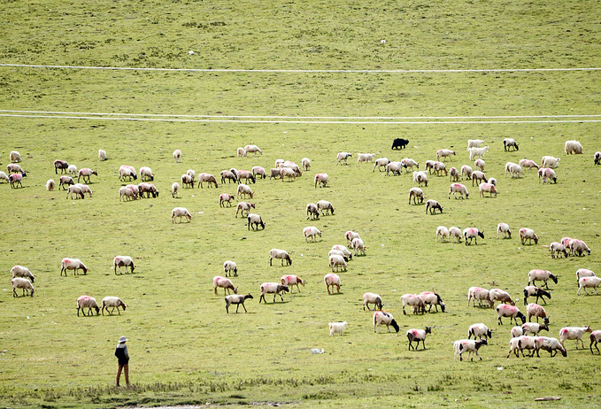 去一趟大西北的旅行,大西北旅行青藏高原