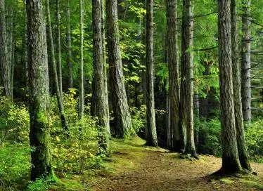 清镇市是不是比较落后,清镇最好的城市