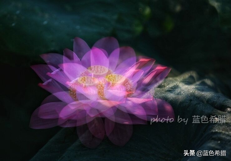 佳能5d3能拍多少数量照片,佳能5d3有多重曝光拍摄技巧