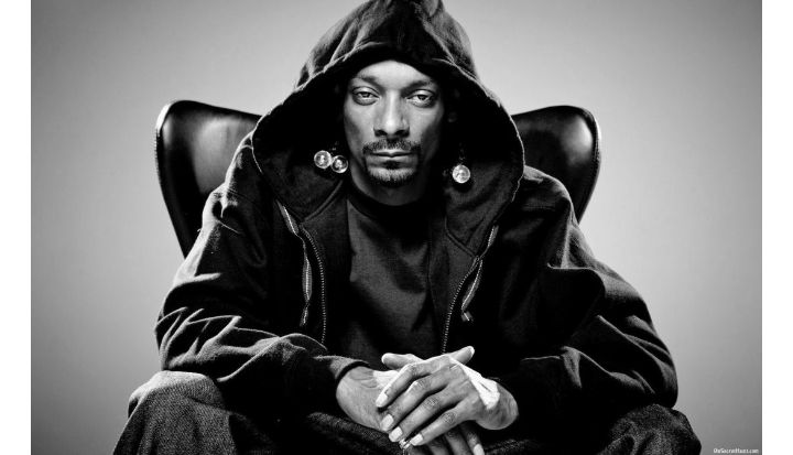 鍝堥浄鍖府椋庢牸鍑鸿,鍖府鍝堥浄鏈嶈