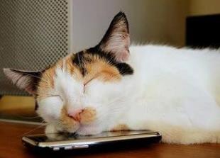 中暑的表现有哪些症状,中暑的症状和中暑的处理方法