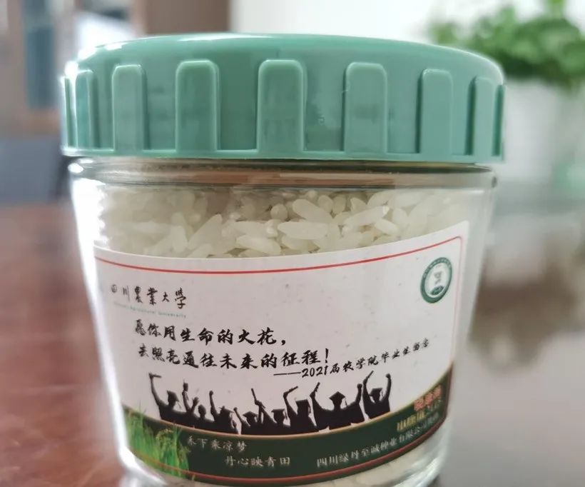 这些高校送的毕业礼物火了,送瓜的,送芯片的,还有送男朋友的