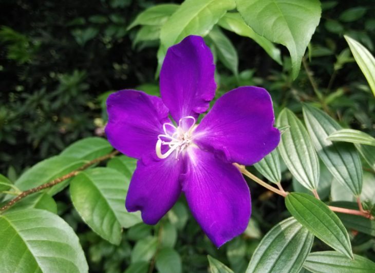 在孤独的时候给自己安慰杨绛,在孤独的时候给自己安慰