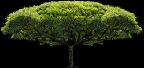 1寸照片标准尺寸怎么排版,标准寸照片制作教程