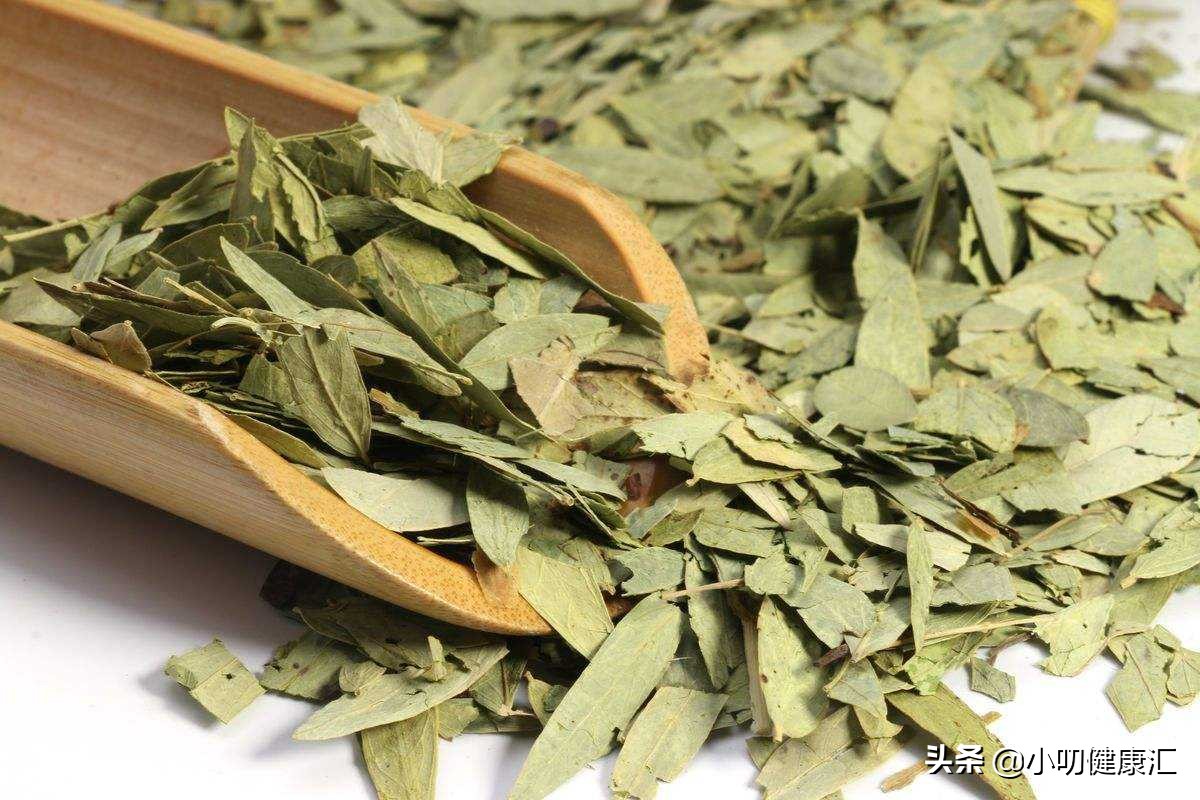 长期喝番泻叶减肥有用吗,吃番泻叶片真的可以减肥吗