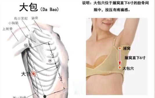 古派巨灵针灸价格表,巨灵针灸面授