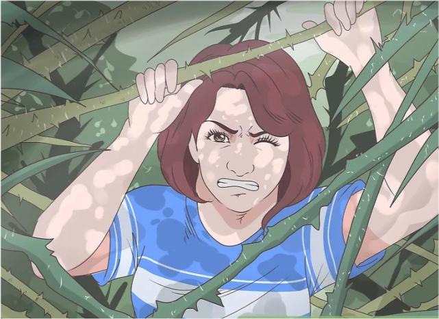 鸵鸟遇到强敌怎么办,如何帮鸵鸟逃避危险