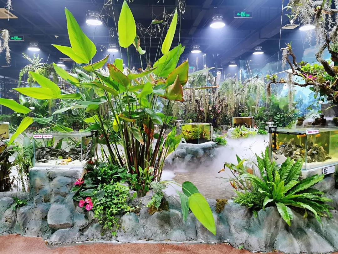 济南适合带娃去的公园,济南适合遛娃的景区