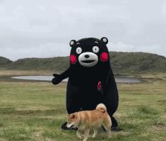 钢琴五线谱所有符号及讲解,初学者钢琴五线谱知识