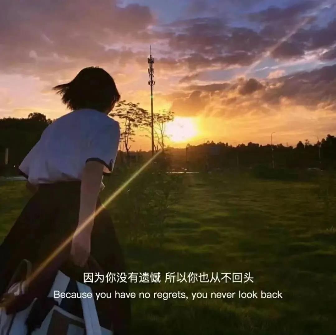 大自然治愈清新的背景图,文艺清新淡雅鲜花背景图