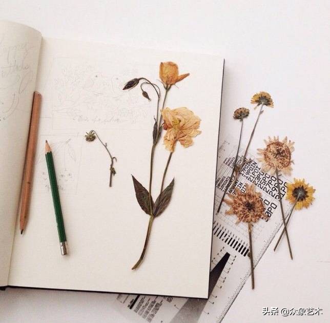 如何制作干花片,如何制作干花花束