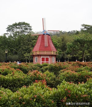 东莞植物园美丽好风景,东莞植物园有什么景色