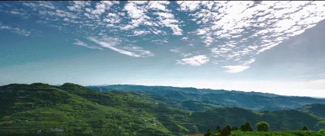 成都网红打卡地最近很火,真正的成都打卡地