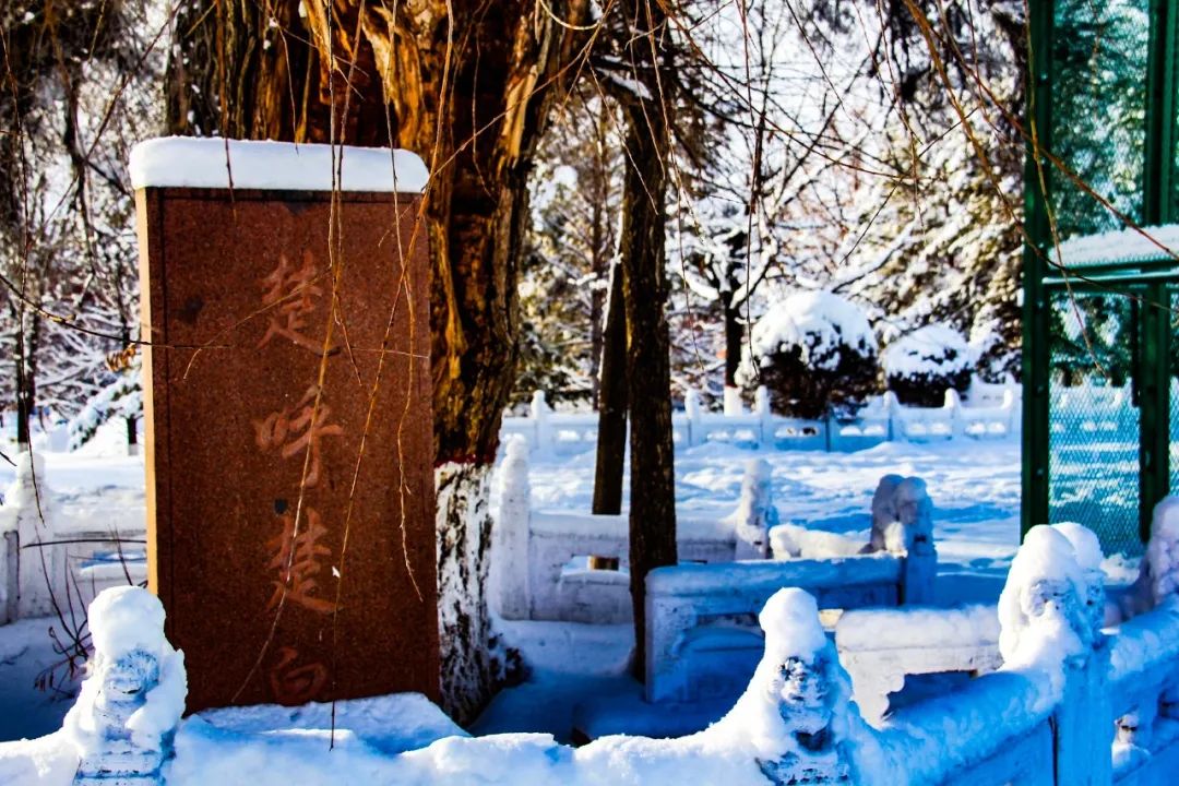 生活在乌鲁木齐的感觉,在新疆塔城的感受