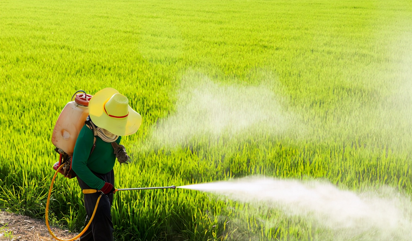 舌尖上的安全感悟,舌尖上的安全全册