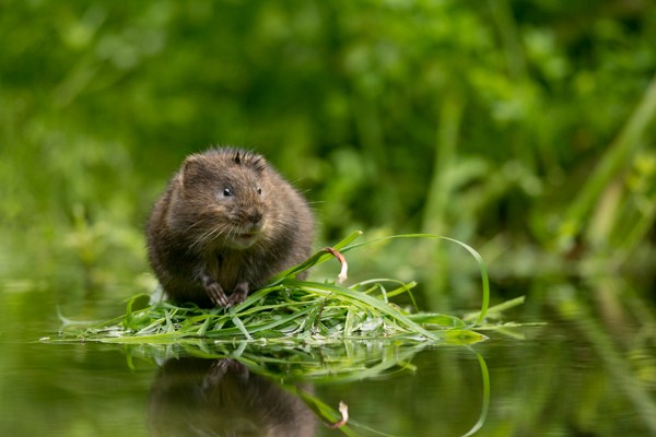 单反相机小白拍照技巧,单反相机场景拍摄技巧