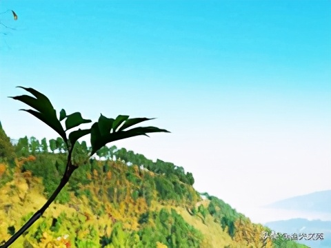 瓒婅繃閭ｉ亾灞辨鍦ㄧ嚎闃呰,涔″湡闀跨瘒灏忚杩炶浇