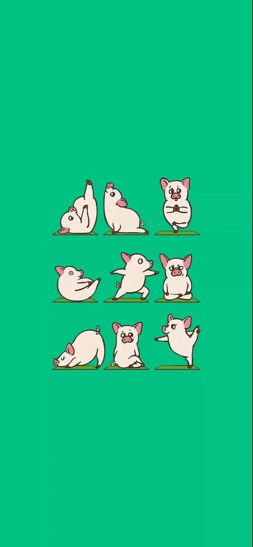 手机壁纸精选好看的养眼壁纸大图,平板壁纸9.7寸高清壁纸简约唯美