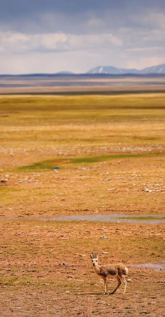 全世界景色最美的十个地方,世界上最美的26个地方你一定要去