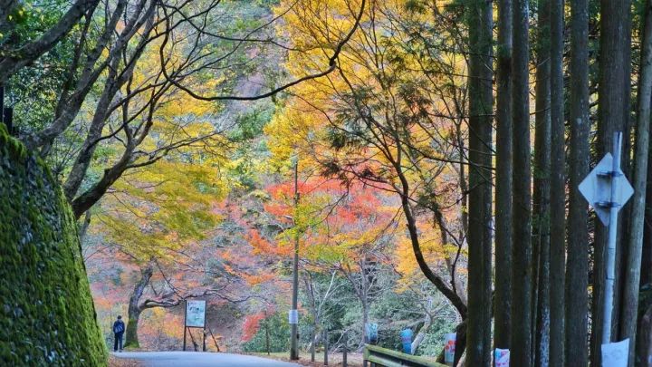 何必去远方原唱视频,何必去远方京都在左常熟在右