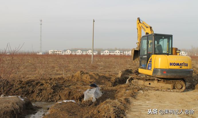 种植桃树的间距是很有讲究的,科学合理的种植模式