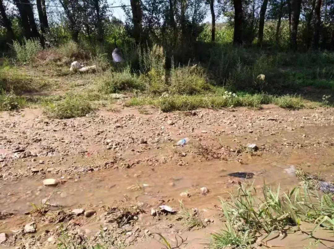 【本土】黄黑绿:印象三色准格尔旗“羊塔市”