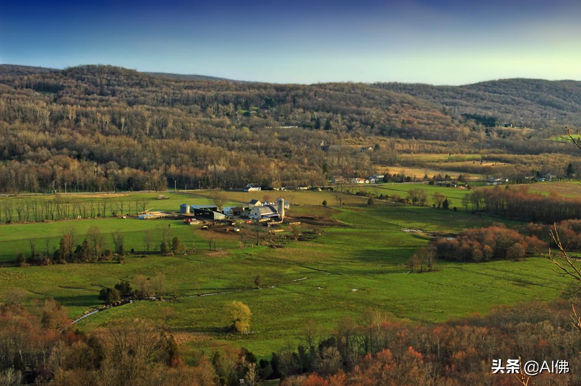 美国农田最多的州,美国哪个州的农场土地肥沃
