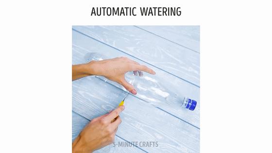 在家怎么无土种菜简单又安全,家庭种菜不用肥料种菜方法