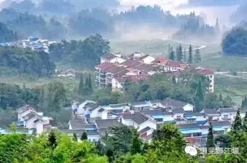 火石飞花红古堰光芒曾经照四川,灌县(都江堰市)包产到户追记