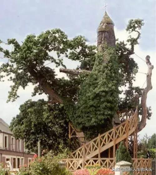 最新世界十大“怪”,最后一个太绝了!