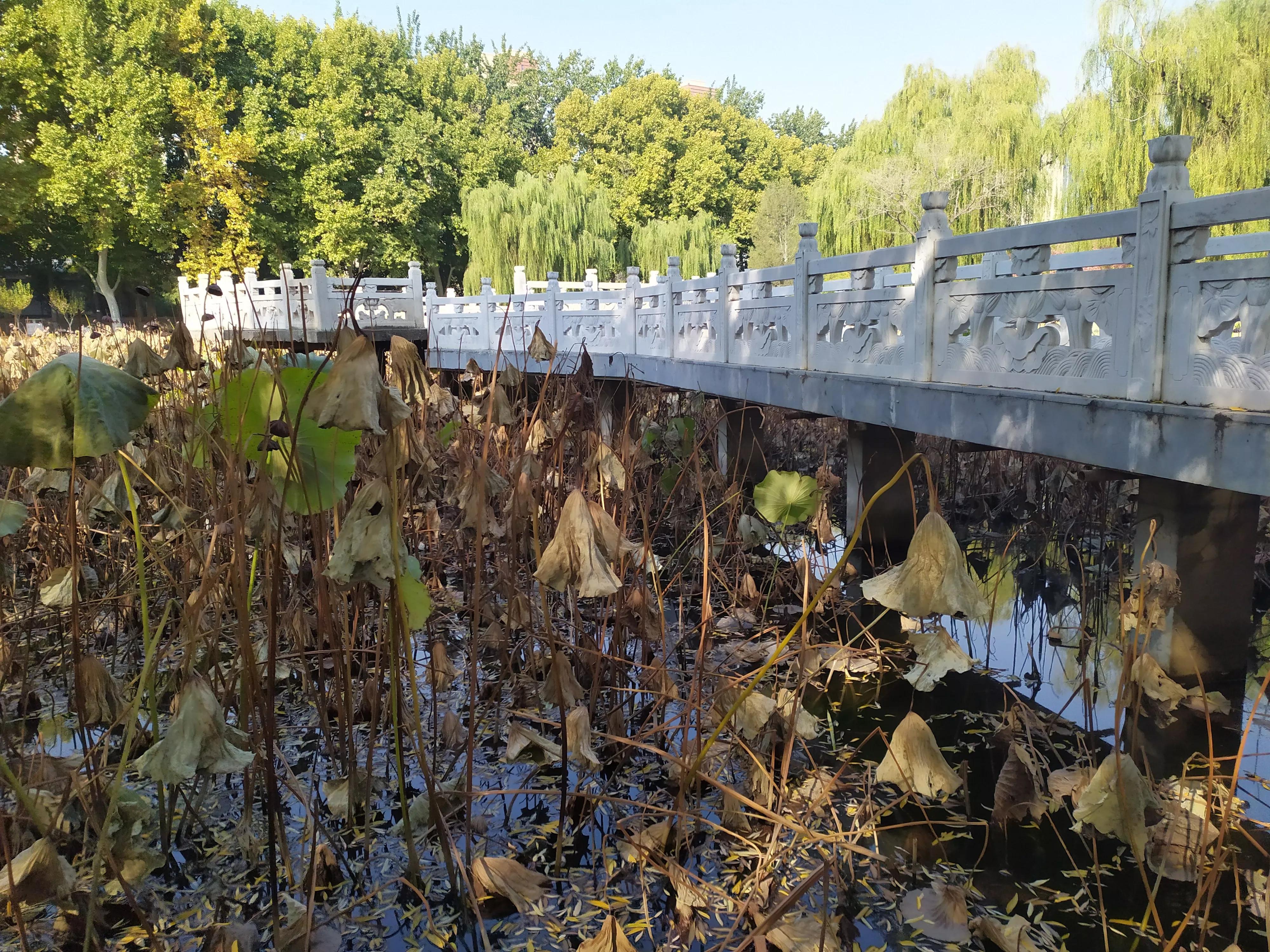 裕西公园秋天的景色,裕西公园的特色