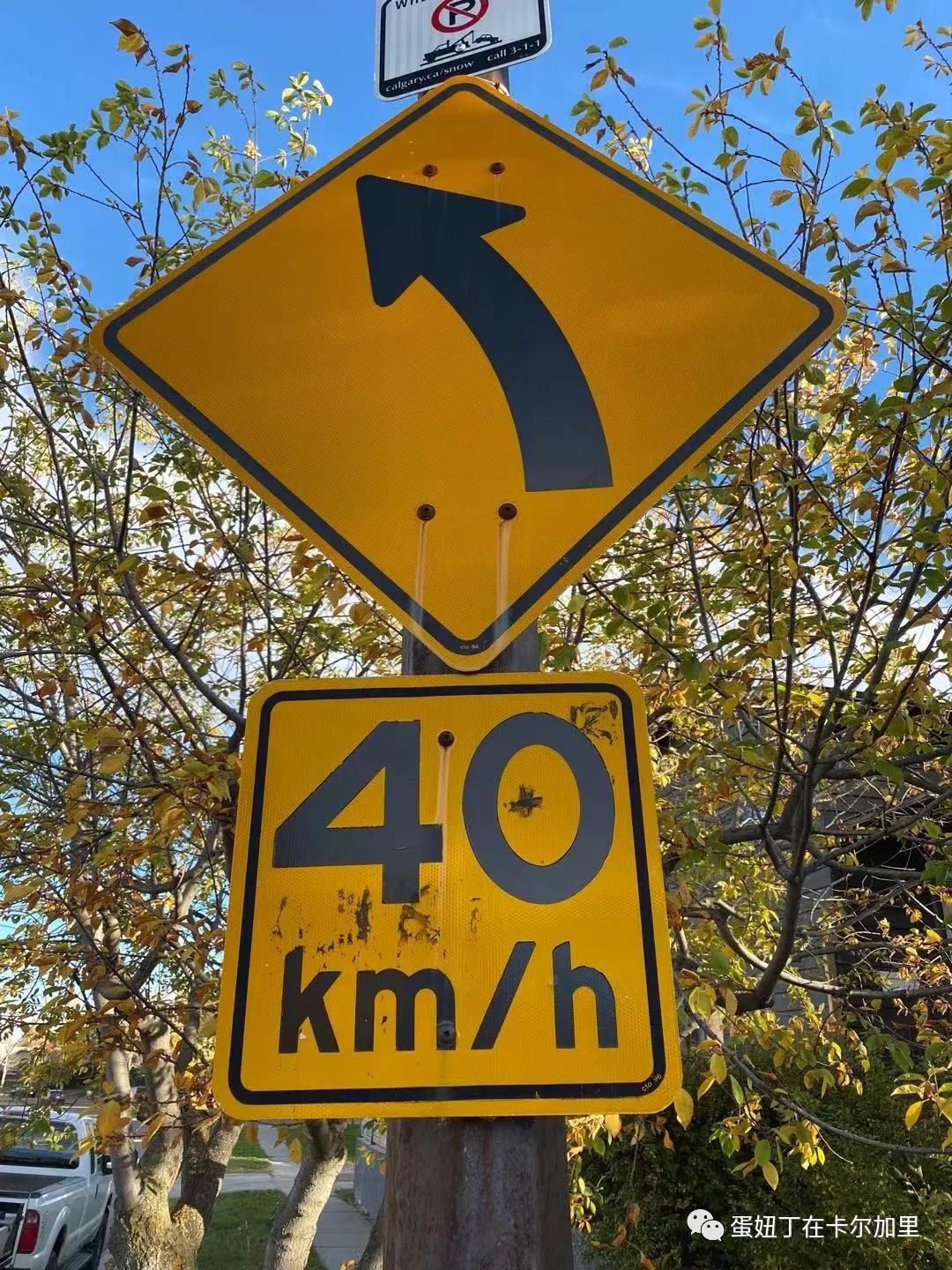 老司机谈开车,老司机聊车大全