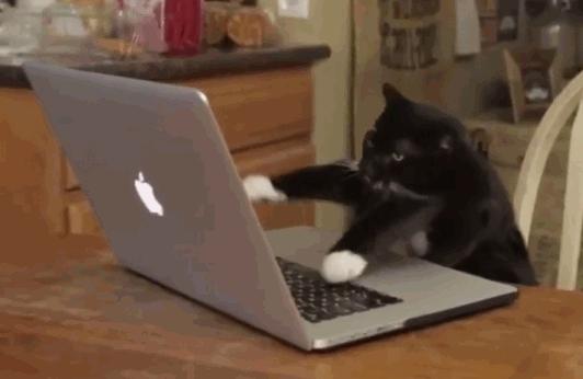 留学生出国居然要带这个东西？很简单，就两个字