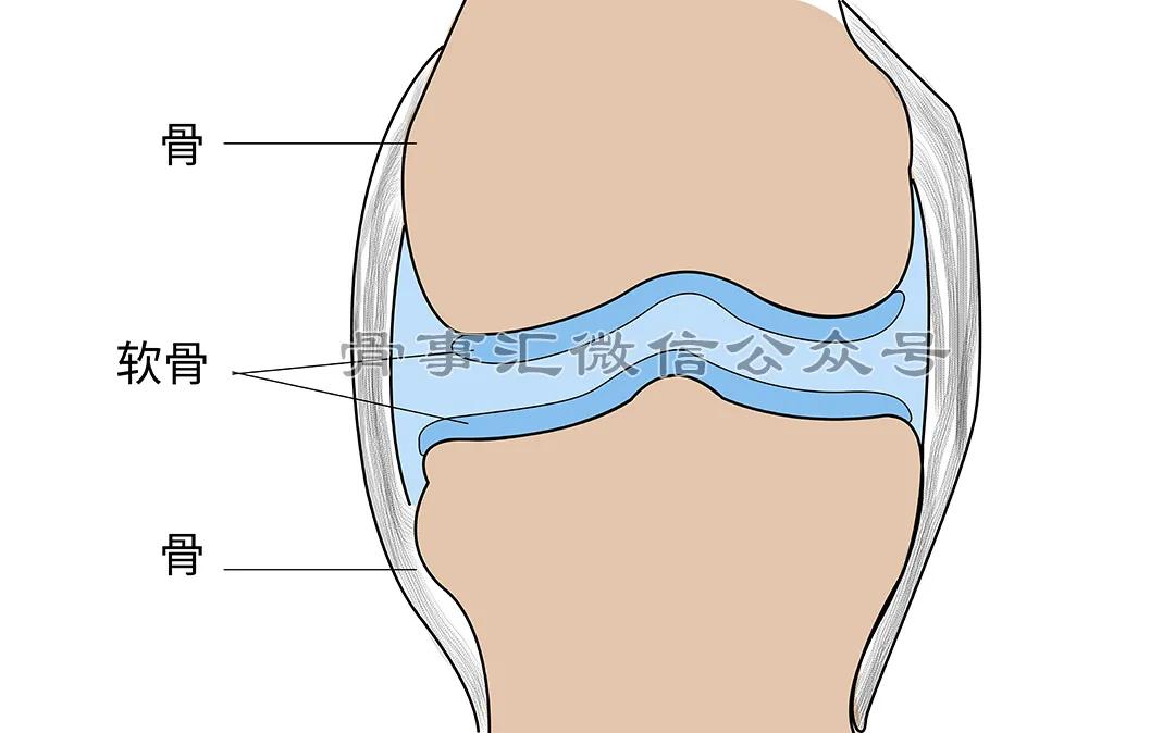 氨基葡萄糖对骨关节真有用吗,氨基葡萄糖有止疼作用吗