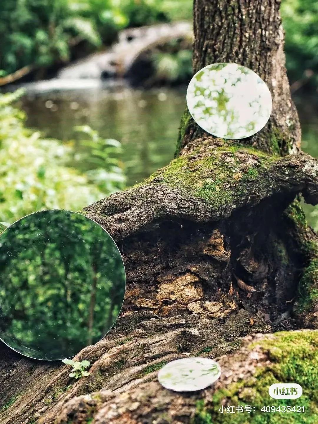 昆明避暑冷惨了外省人,昆明过冬真实感受