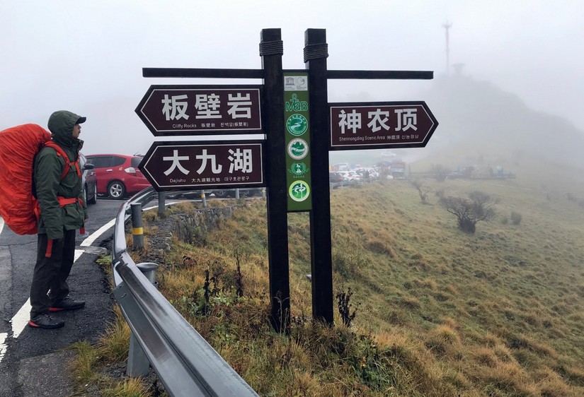 上羽下绒,让后背暖和起来--安地斯菠萝使用体验