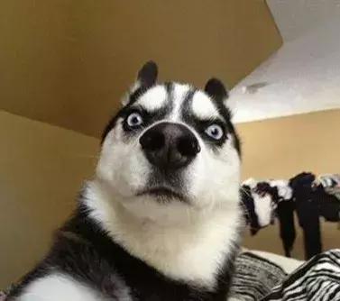 成考数学攻略大全,mba管理类联考数学50个必背公式