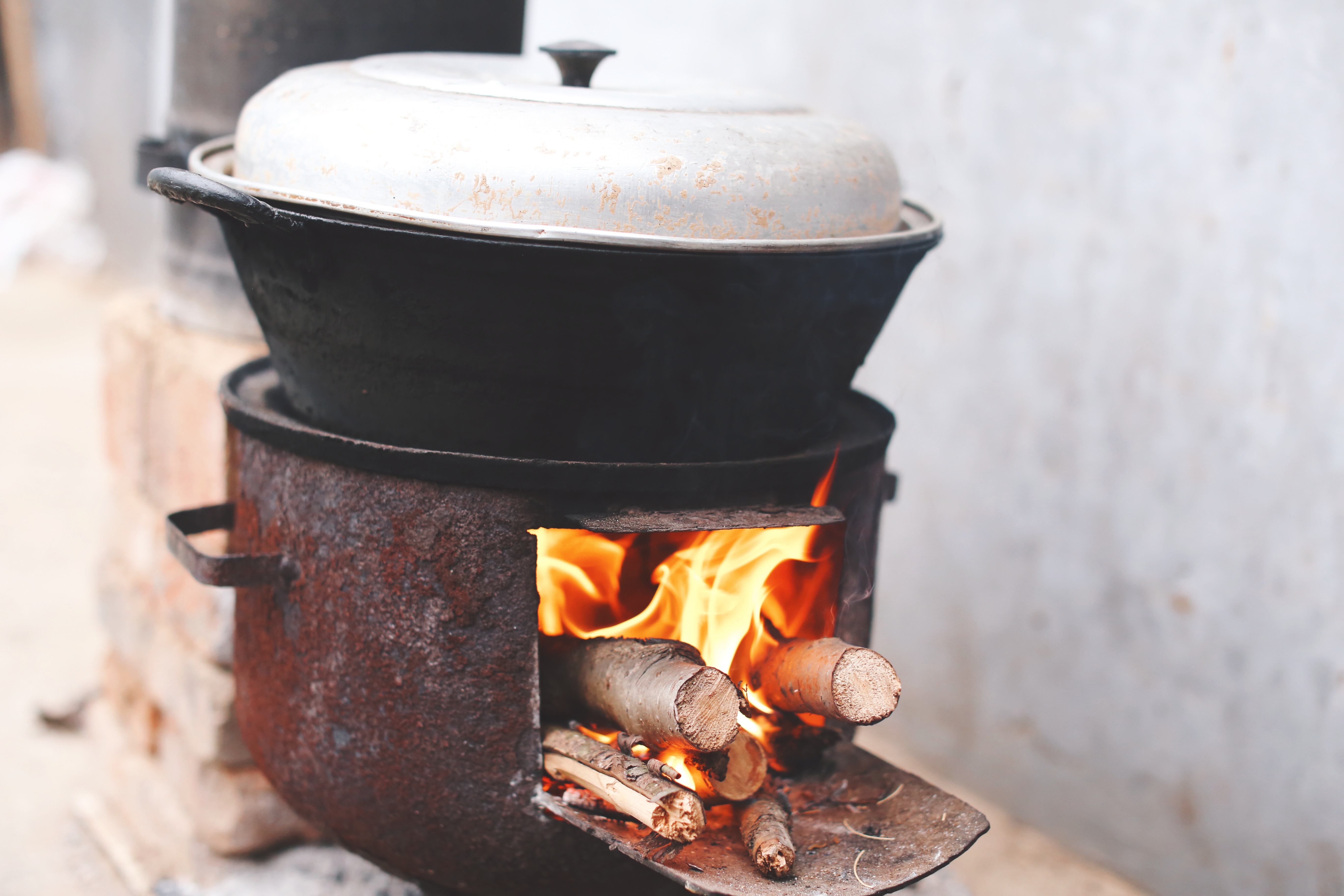 茴香馅水饺正宗做法,茴香猪肉生水饺
