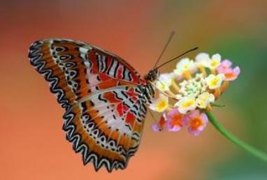 心理测试测你近期有什么惊喜,心理测试什么时候财运转好