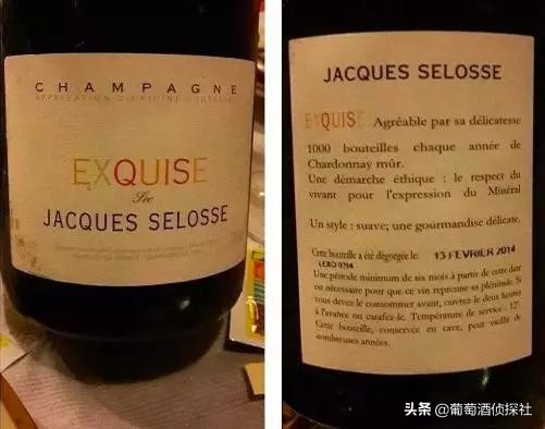 详解《神之水滴》12使徒,原来它描述的不是酒……