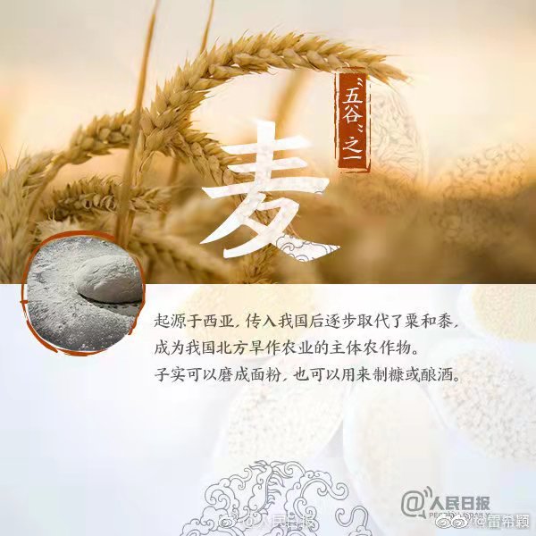 五谷杂粮最养人,五谷怎么吃最养人